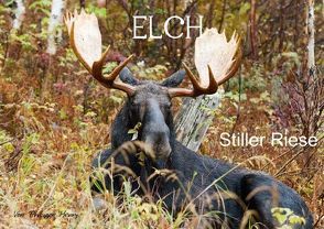 ELCH. Stiller Riese (Posterbuch DIN A3 quer) von Henry,  Philippe