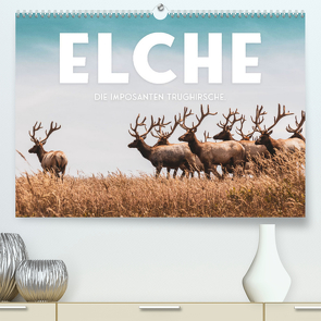 Elche – Die imposanten Trughirsche. (Premium, hochwertiger DIN A2 Wandkalender 2023, Kunstdruck in Hochglanz) von SF