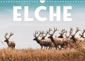 Elche – Die imposanten Trughirsche. (Wandkalender 2022 DIN A4 quer) von SF