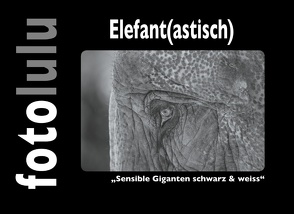 Elefant(astisch) von fotolulu