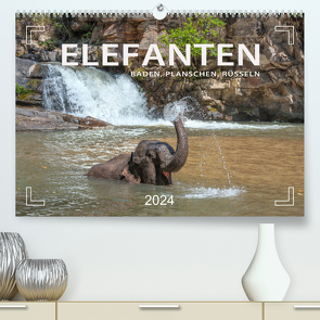 Elefanten – Baden, Planschen, Rüsseln (hochwertiger Premium Wandkalender 2024 DIN A2 quer), Kunstdruck in Hochglanz von Weigt,  Mario