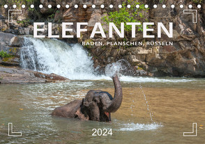 Elefanten – Baden, Planschen, Rüsseln (Tischkalender 2024 DIN A5 quer), CALVENDO Monatskalender von Weigt,  Mario