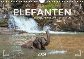 Elefanten – Baden, Planschen, Rüsseln (Wandkalender 2024 DIN A4 quer), CALVENDO Monatskalender von Weigt,  Mario