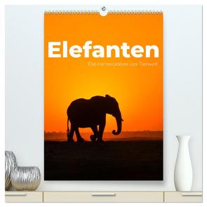 Elefanten – Die Herzeroberer der Tierwelt. (hochwertiger Premium Wandkalender 2024 DIN A2 hoch), Kunstdruck in Hochglanz von SF,  SF