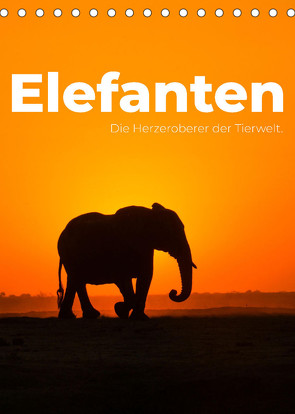 Elefanten – Die Herzeroberer der Tierwelt. (Tischkalender 2023 DIN A5 hoch) von SF