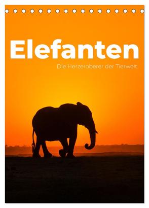 Elefanten – Die Herzeroberer der Tierwelt. (Tischkalender 2024 DIN A5 hoch), CALVENDO Monatskalender von SF,  SF