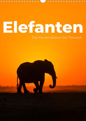 Elefanten – Die Herzeroberer der Tierwelt. (Wandkalender 2023 DIN A3 hoch) von SF