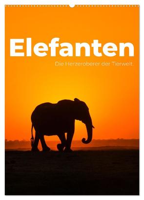 Elefanten – Die Herzeroberer der Tierwelt. (Wandkalender 2024 DIN A2 hoch), CALVENDO Monatskalender von SF,  SF