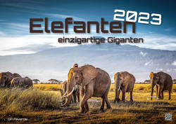 Elefanten – einzigartige Giganten – 2023 – Kalender DIN A2 von GP-Fever.de