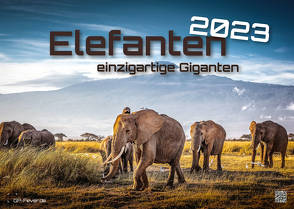 Elefanten – einzigartige Giganten – 2023 – Kalender DIN A3 von GP-Fever.de