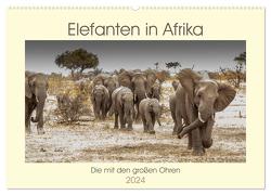 Elefanten in Afrika – Die mit den großen Ohren (Wandkalender 2024 DIN A2 quer), CALVENDO Monatskalender von Bethke,  Barbara