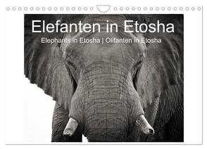 Elefanten in Etosha (Wandkalender 2024 DIN A4 quer), CALVENDO Monatskalender von van der Wiel,  Irma