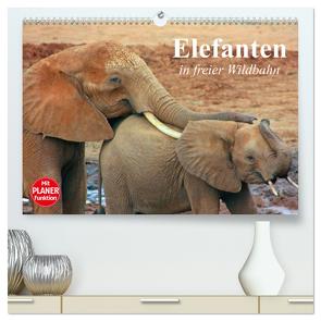 Elefanten in freier Wildbahn (hochwertiger Premium Wandkalender 2024 DIN A2 quer), Kunstdruck in Hochglanz von Stanzer,  Elisabeth