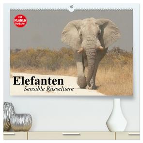 Elefanten. Sensible Rüsseltiere (hochwertiger Premium Wandkalender 2024 DIN A2 quer), Kunstdruck in Hochglanz von Stanzer,  Elisabeth