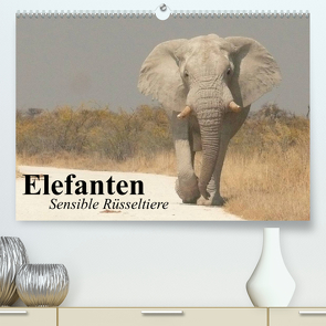 Elefanten. Sensible Rüsseltiere (Premium, hochwertiger DIN A2 Wandkalender 2023, Kunstdruck in Hochglanz) von Stanzer,  Elisabeth