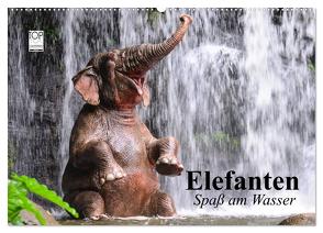 Elefanten. Spaß am Wasser (Wandkalender 2024 DIN A2 quer), CALVENDO Monatskalender von Stanzer,  Elisabeth