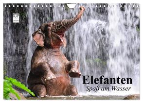 Elefanten. Spaß am Wasser (Wandkalender 2024 DIN A4 quer), CALVENDO Monatskalender von Stanzer,  Elisabeth