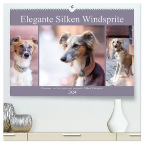 Elegante Silken Windsprite (hochwertiger Premium Wandkalender 2024 DIN A2 quer), Kunstdruck in Hochglanz von Verena Scholze,  Fotodesign