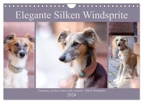 Elegante Silken Windsprite (Wandkalender 2024 DIN A4 quer), CALVENDO Monatskalender von Verena Scholze,  Fotodesign