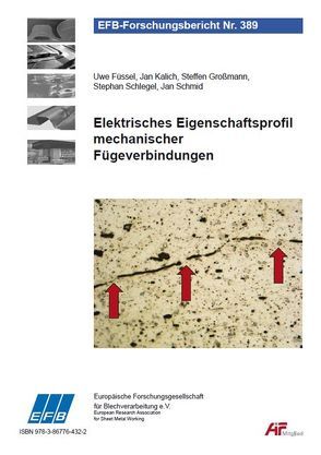 Elektrisches Eigenschaftsprofil umformtechnischer Fügeverbindungen von Füssel,  Uwe, Großmann,  Steffen, Kalich,  Jan, Schlegel,  Stephan, Schmid,  Jan