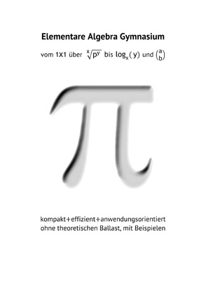 Elementare Algebra Gymnasium von Steinleitner,  Franz