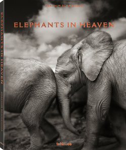 Elephants in Heaven von Schmeisser,  Joachim