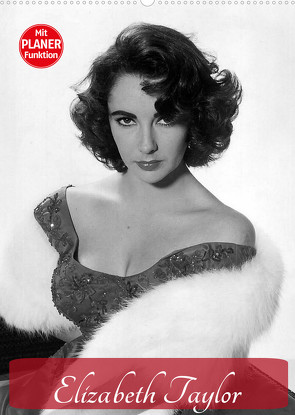 Elizabeth Taylor (Wandkalender 2023 DIN A2 hoch) von Stanzer,  Elisabeth