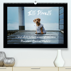 Elli Pirelli… aus dem Leben eines fröhlichen Pinscher-Dackel-Mädels (Premium, hochwertiger DIN A2 Wandkalender 2021, Kunstdruck in Hochglanz) von Köntopp,  Kathrin