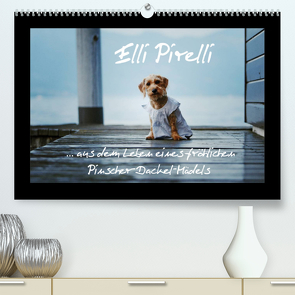 Elli Pirelli… aus dem Leben eines fröhlichen Pinscher-Dackel-Mädels (Premium, hochwertiger DIN A2 Wandkalender 2022, Kunstdruck in Hochglanz) von Köntopp,  Kathrin