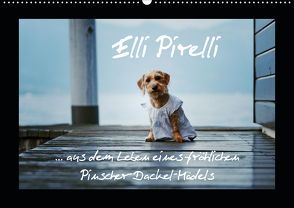 Elli Pirelli… aus dem Leben eines fröhlichen Pinscher-Dackel-Mädels (Wandkalender 2021 DIN A2 quer) von Köntopp,  Kathrin