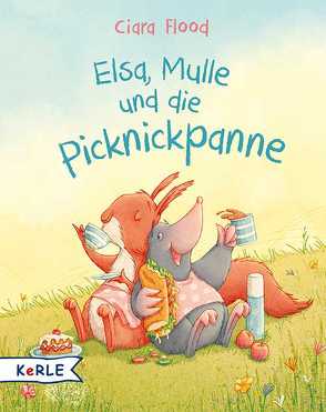 Elsa, Mulle und die Picknickpanne von Butte,  Anna, Flood,  Ciara