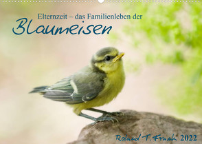 Elternzeit – das Familienleben der Blaumeisen (Wandkalender 2022 DIN A2 quer) von T. Frank,  Roland