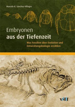 Embryonen aus der Tiefenzeit von Sánchez-Villagra,  Marcelo R.