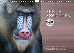 Emotionale Momente: Affige Ansichten (Wandkalender 2018 DIN A4 quer) von Gerlach GDT,  Ingo