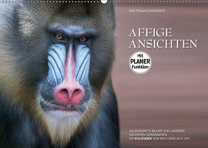 Emotionale Momente: Affige Ansichten (Wandkalender 2019 DIN A2 quer) von Gerlach GDT,  Ingo