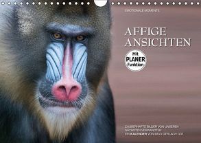 Emotionale Momente: Affige Ansichten (Wandkalender 2019 DIN A4 quer) von Gerlach GDT,  Ingo