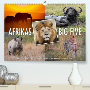 Emotionale Momente: Afrikas Big Five / CH-Version (Premium, hochwertiger DIN A2 Wandkalender 2023, Kunstdruck in Hochglanz) von Gerlach GDT,  Ingo