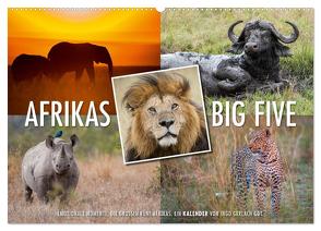 Emotionale Momente: Afrikas Big Five / CH-Version (Wandkalender 2024 DIN A2 quer), CALVENDO Monatskalender von Gerlach GDT,  Ingo