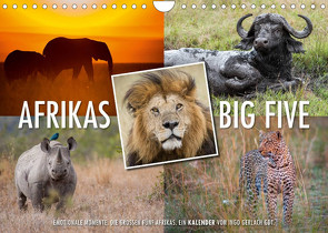 Emotionale Momente: Afrikas Big Five (Wandkalender 2023 DIN A4 quer) von Gerlach GDT,  Ingo