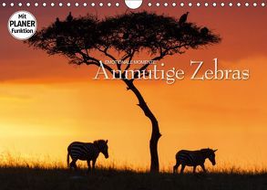 Emotionale Momente: Anmutige Zebras (Wandkalender 2019 DIN A4 quer) von Gerlach GDT,  Ingo