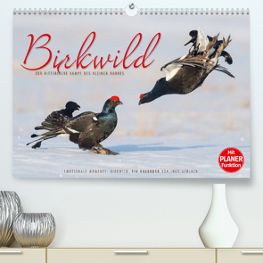 Emotionale Momente: Birkwild (Premium, hochwertiger DIN A2 Wandkalender 2022, Kunstdruck in Hochglanz) von Gerlach,  Ingo