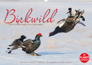 Emotionale Momente: Birkwild (Wandkalender 2021 DIN A3 quer) von Gerlach,  Ingo