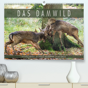 Emotionale Momente: Das Damwild. (Premium, hochwertiger DIN A2 Wandkalender 2021, Kunstdruck in Hochglanz) von Gerlach,  Ingo