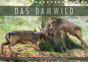 Emotionale Momente: Das Damwild. (Tischkalender 2021 DIN A5 quer) von Gerlach,  Ingo