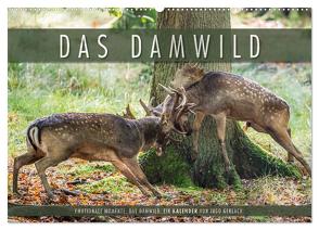 Emotionale Momente: Das Damwild. (Wandkalender 2024 DIN A2 quer), CALVENDO Monatskalender von Gerlach,  Ingo