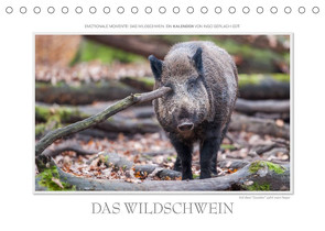 Emotionale Momente: Das Wildschwein. / CH-Version (Tischkalender 2023 DIN A5 quer) von Gerlach GDT,  Ingo