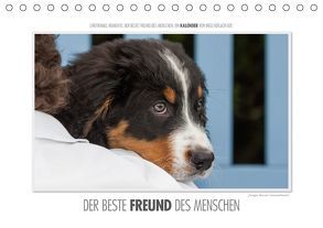 Emotionale Momente: Der beste Freund des Menschen. / CH-Version (Tischkalender 2018 DIN A5 quer) von Gerlach,  Ingo