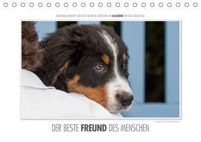 Emotionale Momente: Der beste Freund des Menschen. (Tischkalender 2019 DIN A5 quer) von Gerlach,  Ingo