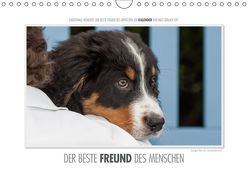 Emotionale Momente: Der beste Freund des Menschen. (Wandkalender 2019 DIN A4 quer) von Gerlach,  Ingo