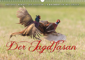 Emotionale Momente: Der Jagdfasan. (Wandkalender 2022 DIN A3 quer) von Gerlach,  Ingo